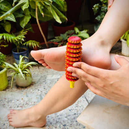 Porcupine Acupressure roller