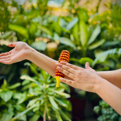 Porcupine Acupressure roller