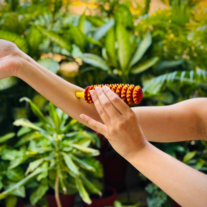 Porcupine Acupressure roller