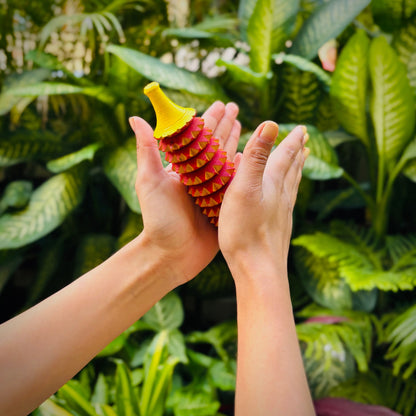 Porcupine Acupressure roller