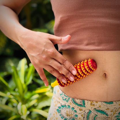 Porcupine Acupressure roller