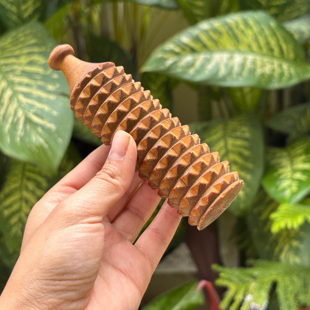 Porcupine massage roller