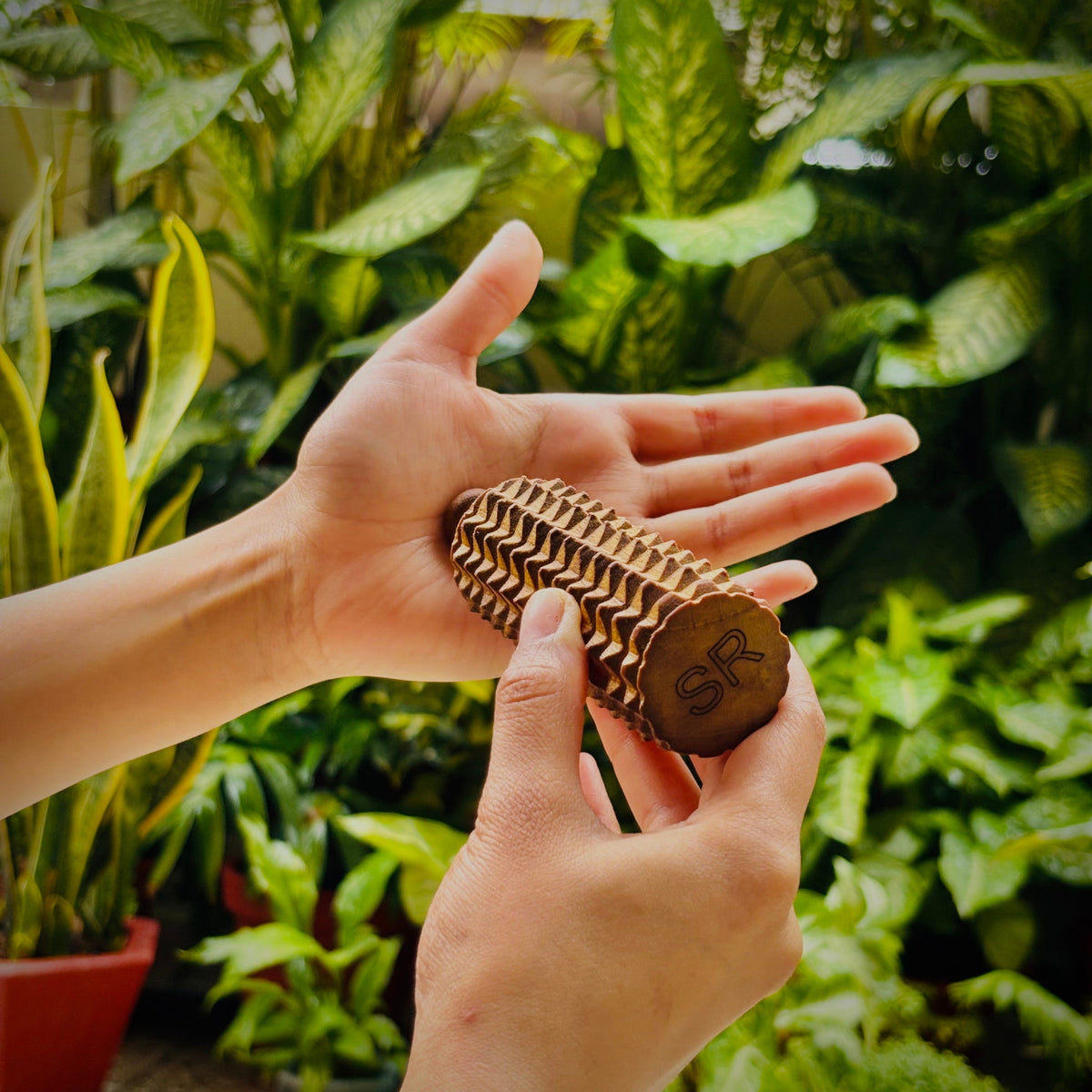 Porcupine massage roller